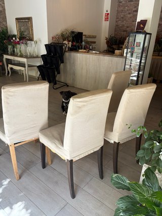 4 Sillas Comedor Beige Tapizadas Madera