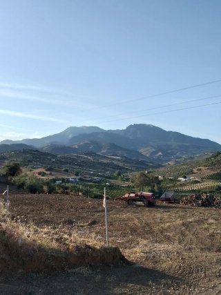 Parcela rustica