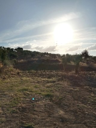 Parcela rustica