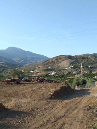 Parcela rustica