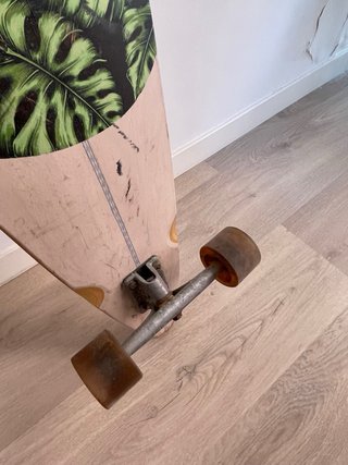 Longboard Globe
