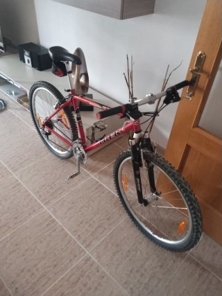 Bicicleta Trek Roja