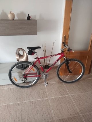 Bicicleta Trek Roja