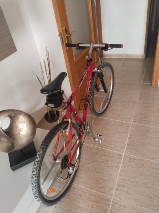 Bicicleta Trek Roja