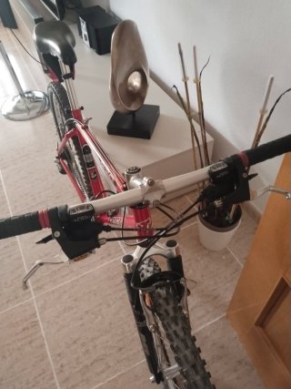 Bicicleta Trek Roja