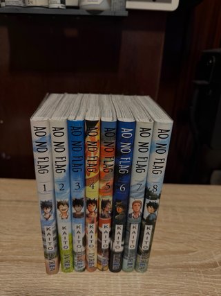 Lote de mangas y novelas variados