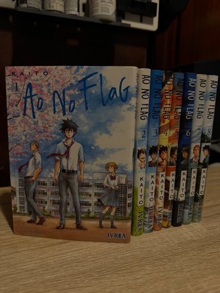 Lote de mangas y novelas variados