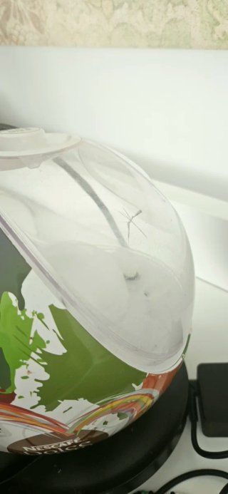 Cafetera de diseño Dolce Gusto