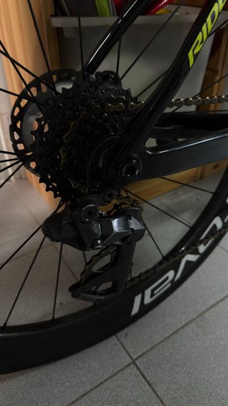 Ridley Falcon RS 2026