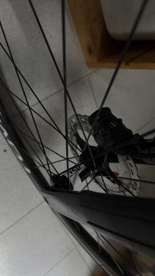 Ridley Falcon RS 2026