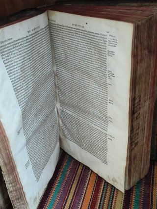 Libro antiguo Ioannes Viguerius