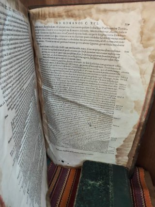 Libro antiguo Ioannes Viguerius