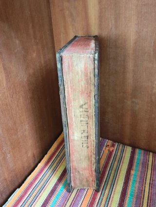 Libro antiguo Ioannes Viguerius