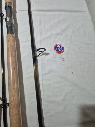 Caña de pesca Daiwa 3 tramos
