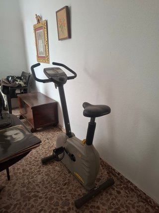 Bicicleta Estática Gris