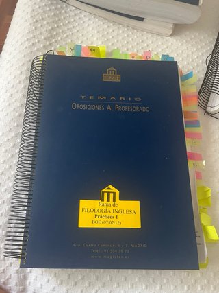 Temario/prácticos/prueba común/progra maestros ing