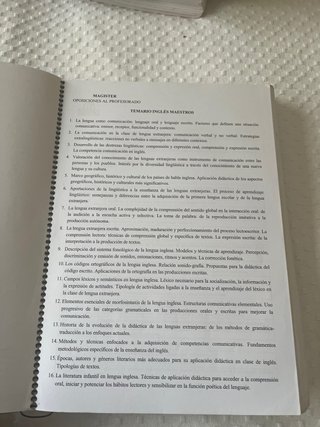 Temario/prácticos/prueba común/progra maestros ing