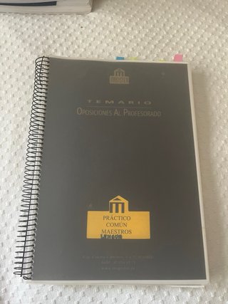Temario/prácticos/prueba común/progra maestros ing