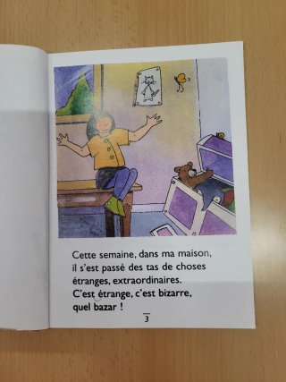 2 libros infantiles en francés