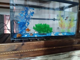 80L Pecera con accesorios