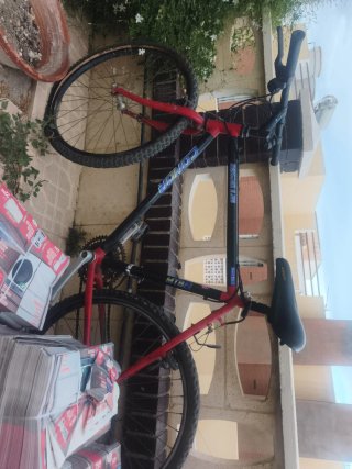 Bicicleta de montaña