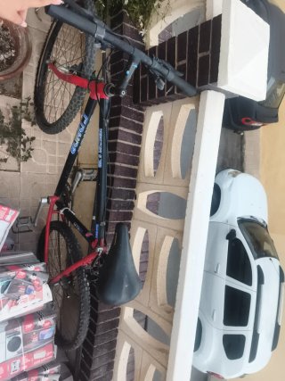 Bicicleta de montaña