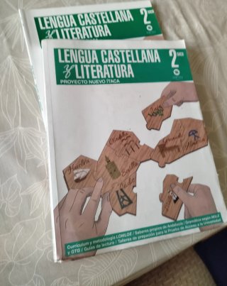 Lengua Castellana y Literatura, 2 Bach, Proyect...