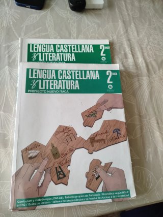 Lengua Castellana y Literatura, 2 Bach, Proyect...