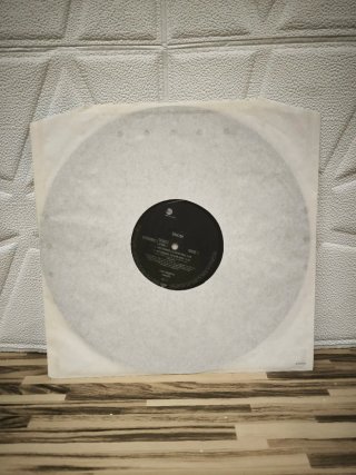 Vinilo Snow Informer EW