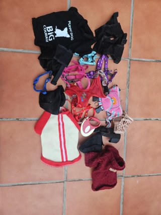 Transportin perro gato accesorios