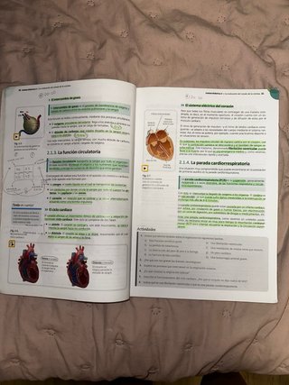 Libro Primeros auxilios
