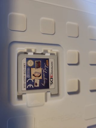 Nintendo 3DS Art Academy Juego