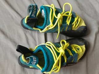 Pies de gato escalada teal y amarillo