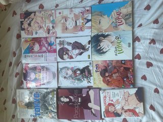 Lote de Mangas/ Mangas Separado