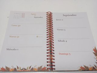 Agenda delle Fate 2027
