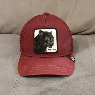 Lote 4 Gorras Goorin Bros King Panther