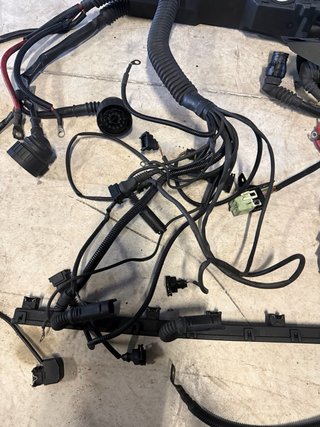 Cableado M50B25 Vanos E36