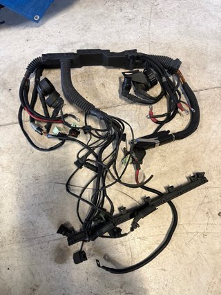 Cableado M50B25 Vanos E36
