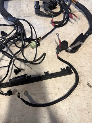 Cableado M50B25 Vanos E36