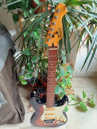 Fenix 1989 Korea Young Chang Stratocaster Fender