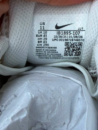 Nike Downshifter 14 Scarpe Uomo