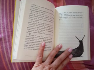 Libro infantil: L’Evie i els animals