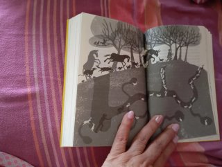 Libro infantil: L’Evie i els animals