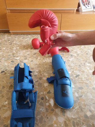 Protecciones Karate Guantes y Tibiales