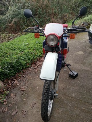 Honda 200XL Paris Dakar Enduro1900