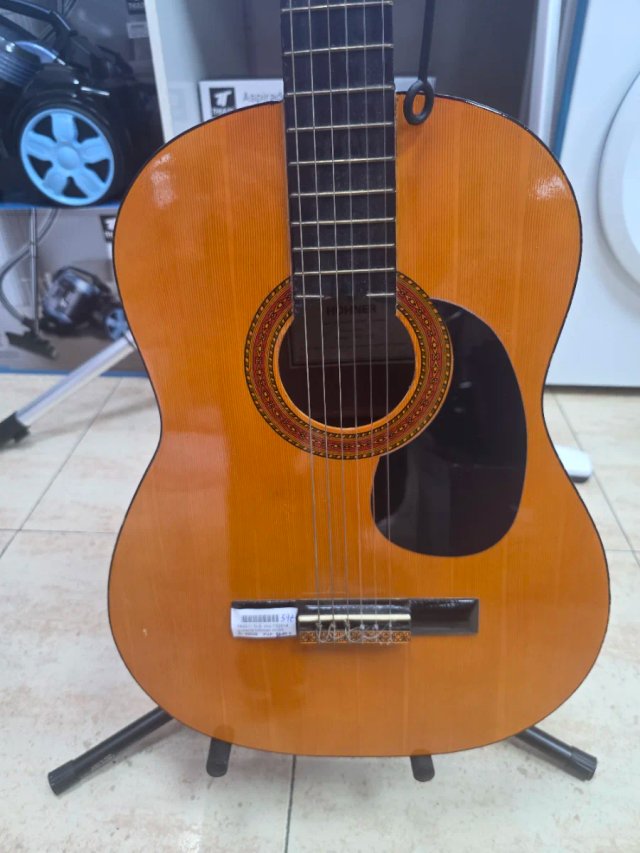 Guitarra Hohner MC05