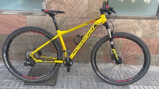 Megamo Natural Elite 29”