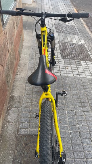 Megamo Natural Elite 29”