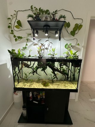 Acuario completo con mueble 200L
