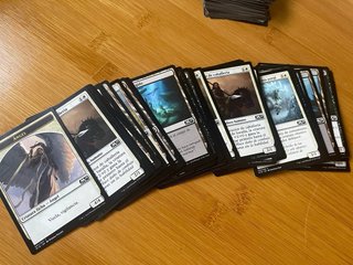 270 Carte Magic: The Gathering